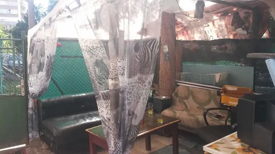صوفيا Randi Mamola Hostel